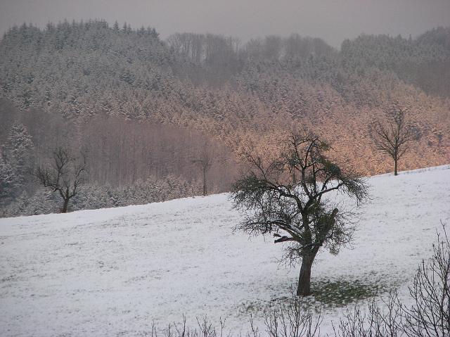 Erster Schnee ueber Feld und Wald.JPG
